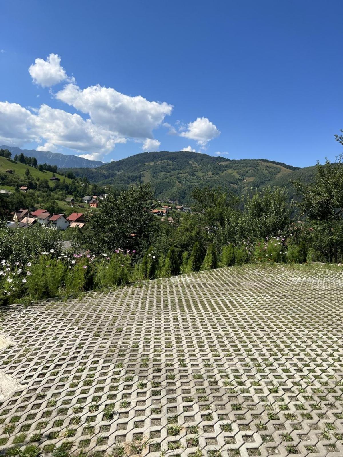 On Top Chalet برانْ المظهر الخارجي الصورة